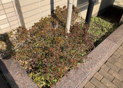 【設備】 | サーパス上溝第２