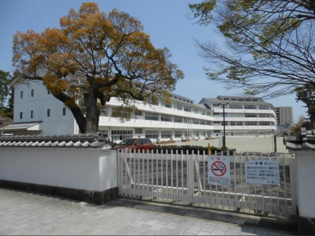 小田原市城山4丁目 三の丸小学校エリアの周辺