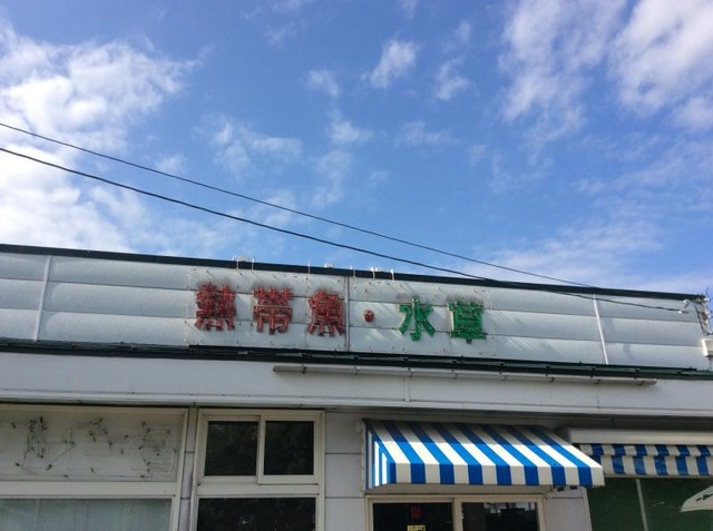 ＧｌａｎｚＢｅｌｌ（グランツベル）|グッピー園 0.1km