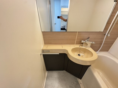 【洗面所】 | ホリックⅠ | 洗面所です