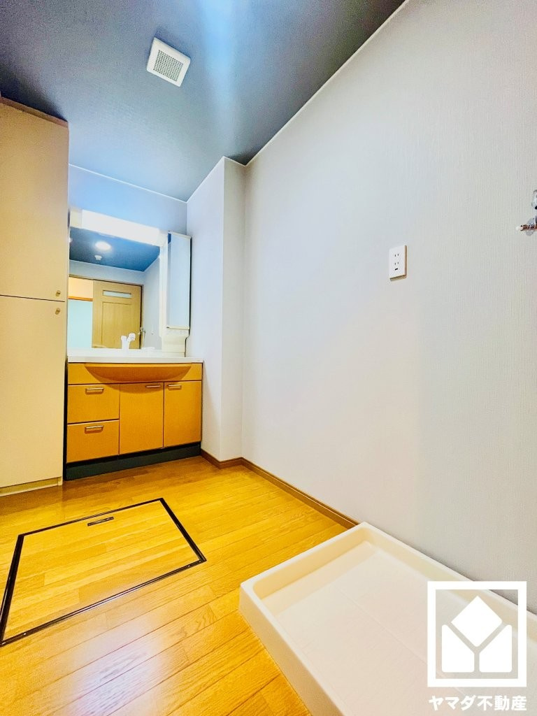 ルネス・ピース醍醐の洗面所