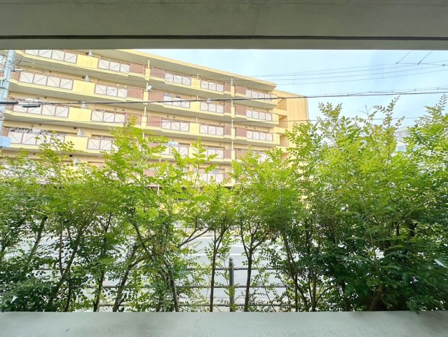 Ritz SQUARE Qbeの展望