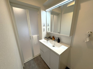 【独立洗面台】 | 2025年11月21日撮影