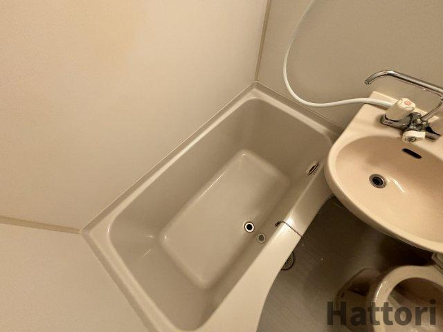 プレミアムYTの浴室