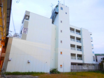 エヴァーグリーン・タナカの画像