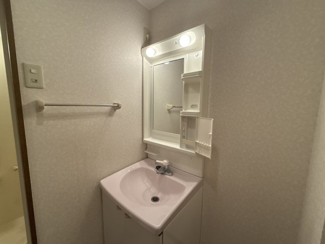 プラードアロージョの洗面所