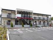 もろのきの画像