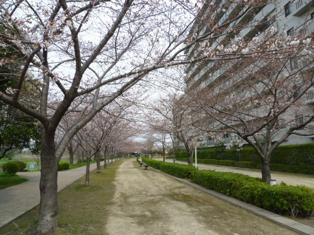 【その他】 | グランデュール鴨川Ⅱ番館