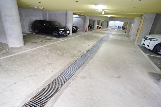 MUCCS珍樹園の駐車場