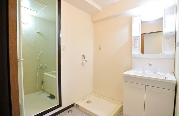 パレスロゼの洗面所