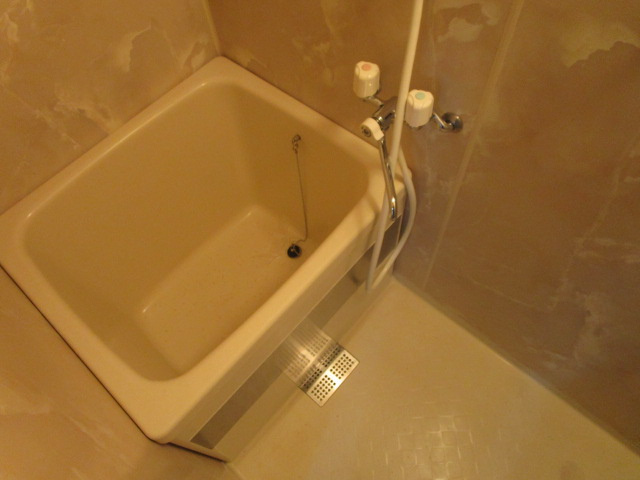 アルビオンの浴室