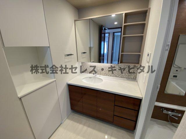 HARUMI　FLAG　SUN　VILLAGE　C棟の独立洗面台