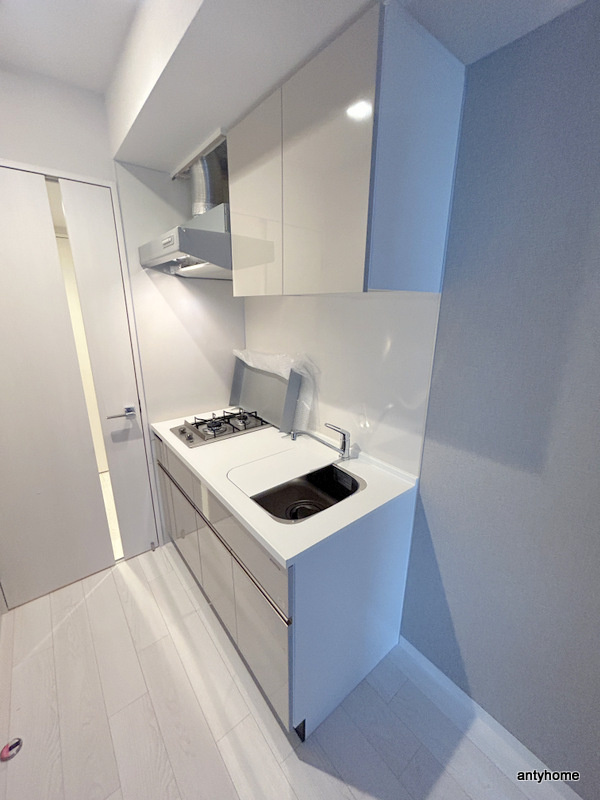 ルフォンプログレ堺筋本町タワーレジデンス　仲介手数料無料のキッチン