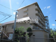 協栄ハイツⅡ(鴻池新田賃貸）の画像