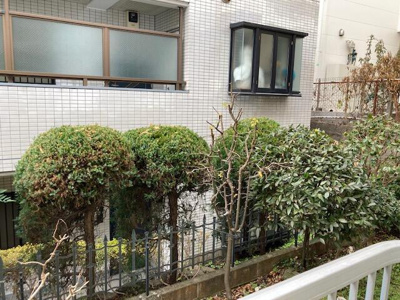 【展望】 | メゾンブランシュ