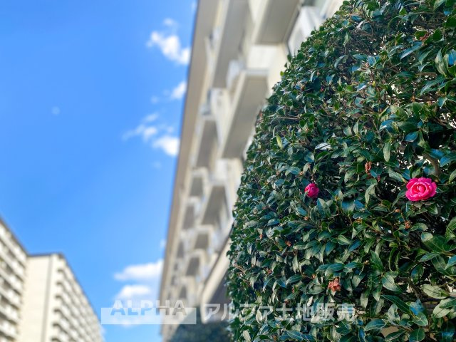 つつじが丘ハイム C棟の外観|陽当たりの良い立地で、周辺環境も整っています。洗練された佇まいが、都市と自然のバランスを感じさせる快適な住空間です。