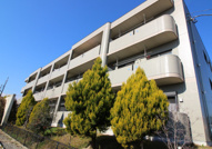 ＢＥＡＵＴＹ・ＡＱＵＡＳＩＤＥの画像