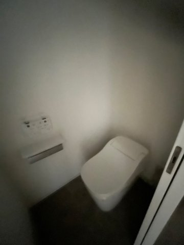 ISM中之島レジデンス（旧HF中之島レジデンス）のトイレ