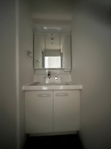 ISM中之島レジデンス（旧HF中之島レジデンス）の洗面所