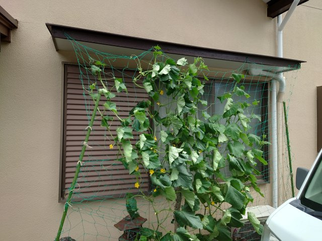 売中古建　焼津市大村三丁目の外観|温かい雰囲気の家づくり！