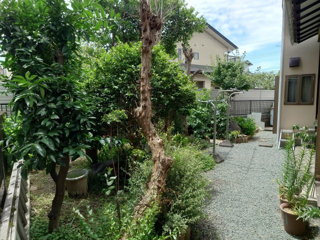 【庭】の画像