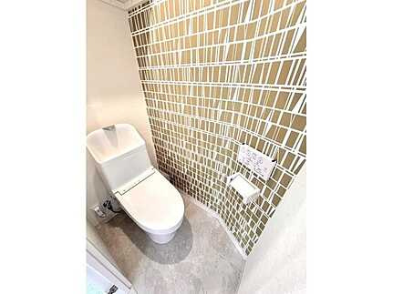 ライオンズマンション海老園(JS)のトイレ