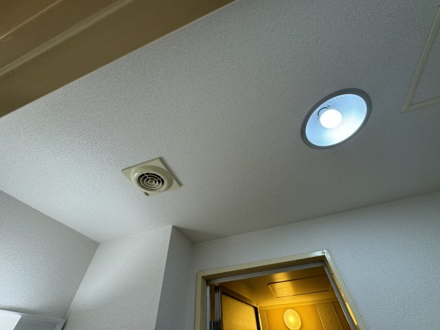 -三丁目不動産-　ダイアパレスビッグイウイング深谷　専用庭のその他