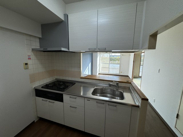 -三丁目不動産-　ダイアパレスビッグイウイング深谷　専用庭のキッチン