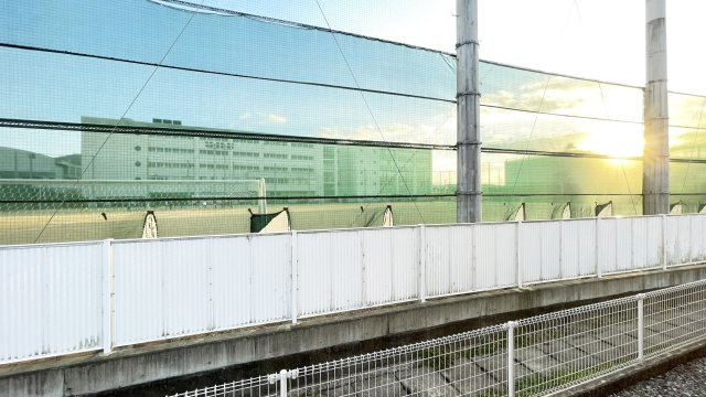 サンフラワーの展望