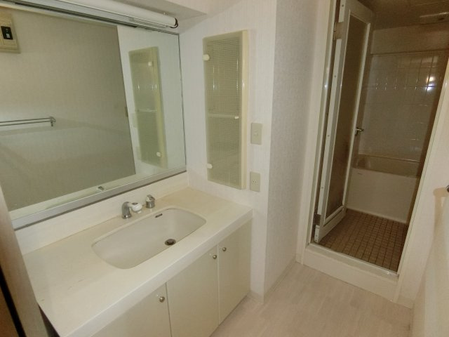 アーサー大橋南エクシオの洗面所|明るい洗面所です