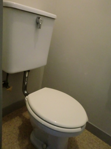 魚眞マンションのトイレ