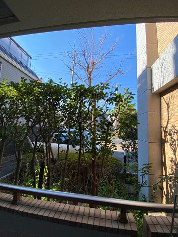 アークコート北口の展望
