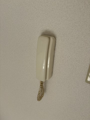 【セキュリティ】 | ドミトリーゴコー