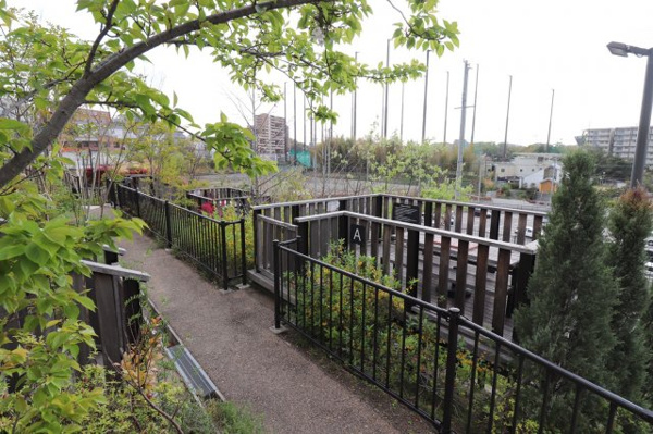 【その他共用部分】 | 【共用部分】潤い豊かな植栽が配されており、四季折々の表情を楽しめます！