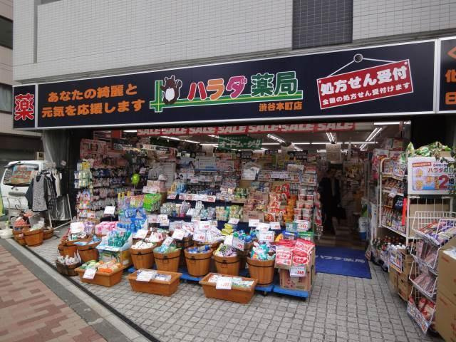 菱和パレス西新宿の周辺