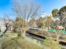 給田南住宅2号棟の画像