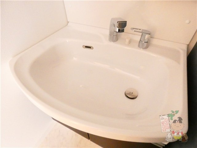 Ｃａｓａ　Ｇｒａｎｄｅ　学南町（カーサグランデ）の洗面所