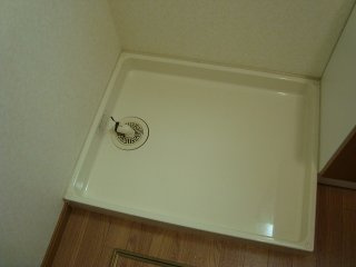 グリーンテラスのその他|室内洗濯機置場