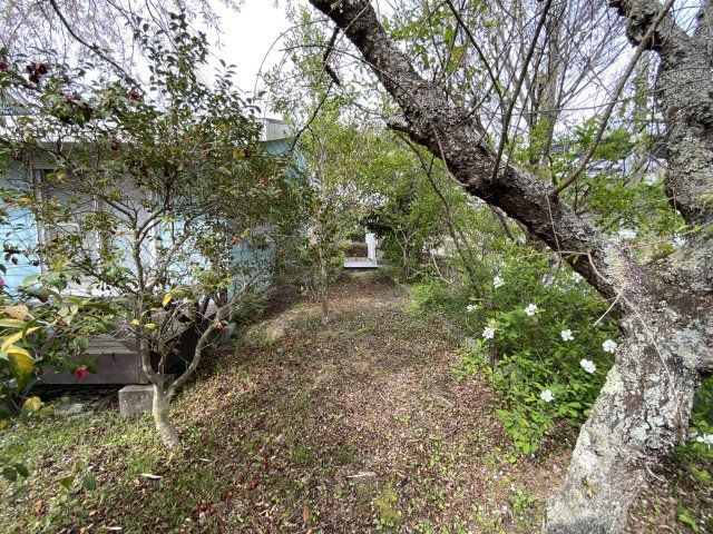 神戸市北区道場生野の庭