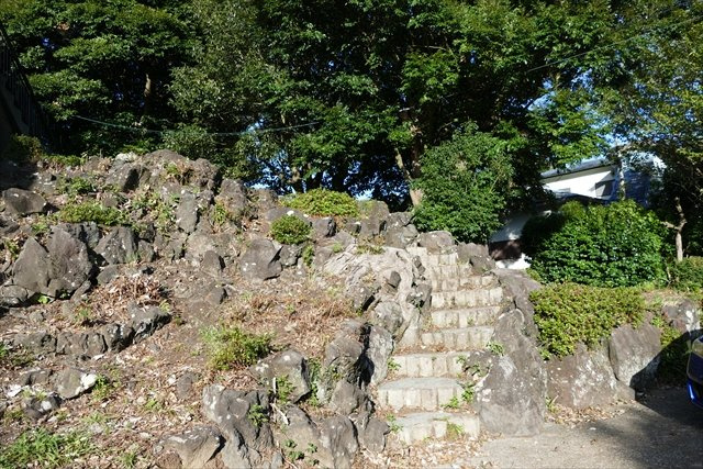 すいらんそう平屋の庭