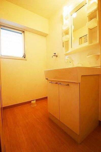 イーストハイツ高崎の洗面所