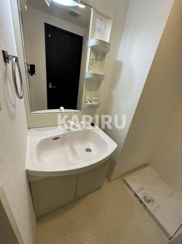 フォレストガーデン成育Ⅱの洗面所|同物件別部屋の写真です。