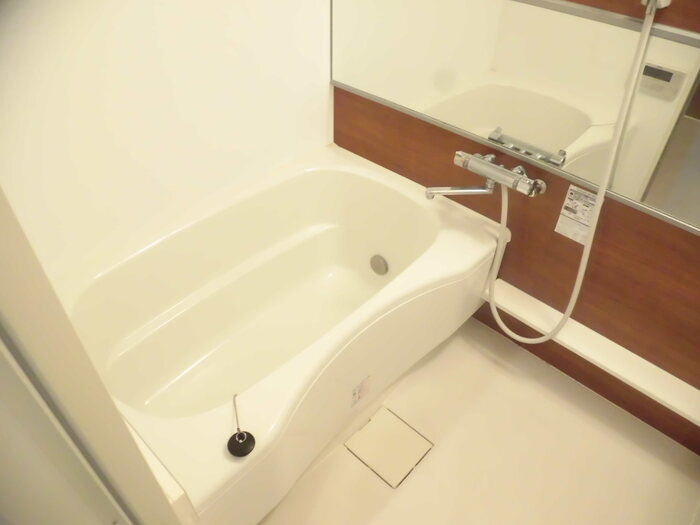 ESPERANZA広中町の浴室