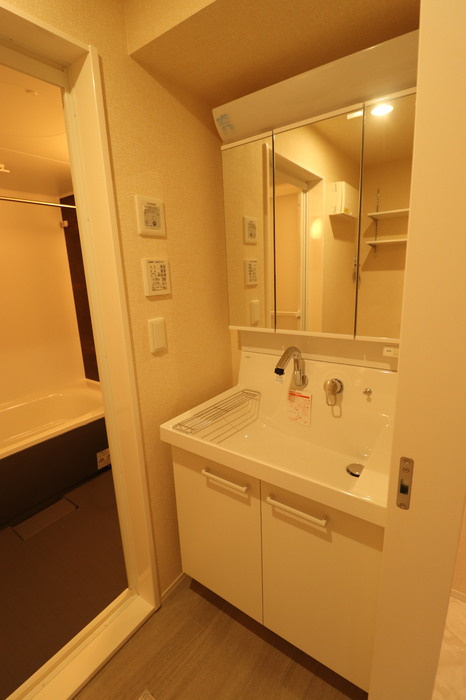 D-ROOM盛岡本宮　C棟の洗面所