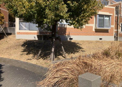 【庭】 | ベルコリーヌ南大沢５－１３－５号棟 | 物件によっては、入居者が個人的に使用できる専用庭がついているものもあります。また、住宅の中にある土間の部分を庭と呼ぶこともあります。庭の用途は住む人によって変わり、それによってデザインもさまざまです。