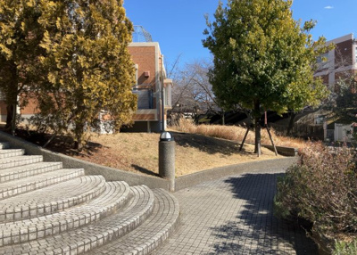 【中庭】 | ベルコリーヌ南大沢５－１３－５号棟 | 中庭（パティオ）とは、一つの建築物の内部に設けられた、壁などで囲われている庭のことを指します。コの字型、ロの字型が主流ですが、L字型の中庭もあります。最近では、インテリア性の高さからも人気があります。