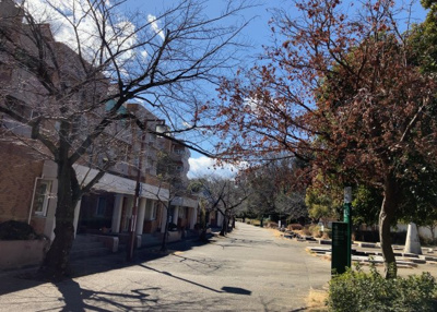 【展望】 | ベルコリーヌ南大沢５－１３－５号棟 | 眺望を気にして物件を探す場合、前面に建物が建っていないか現地で確認しましょう！前面に建物があると景色はもちろん、日当たりや風通しにも影響が出てきます。住んだ時のことを想像しながら現地見学をしましょう。