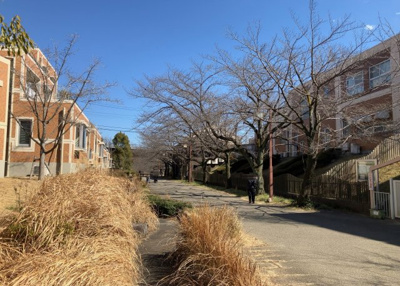 【展望】 | ベルコリーヌ南大沢５－１３－５号棟 | 景色重視でお家選ぶをするとスーパーが遠い！学校が遠い！など生活をするうえで利便性で困ることもあります。まず一度現地を見学する際に、周辺の施設などがあるかを確認し、暮らし始めた後のことを想像しましょう。
