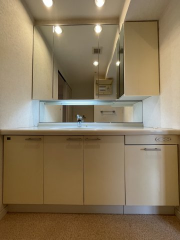 エイルマンション岩崎プレジデンスの洗面所|洗面所です。