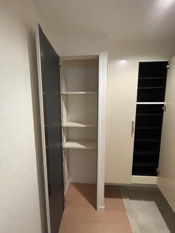 エイルマンション岩崎プレジデンスの収納|玄関収納です。